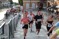 IMG_2253.jpg