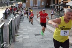 IMG_2262.jpg