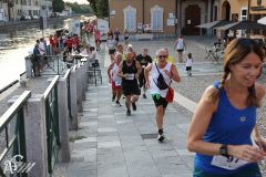 IMG_2271.jpg