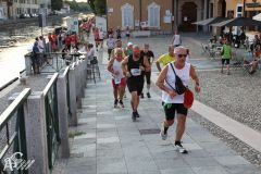 IMG_2272.jpg