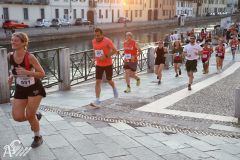 IMG_2295.jpg