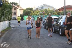 IMG_3946.jpg