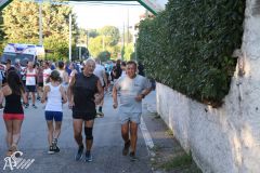 IMG_3949.jpg