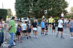 IMG_3953.jpg