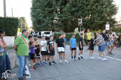 IMG_3954.jpg