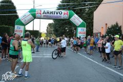 IMG_3965.jpg