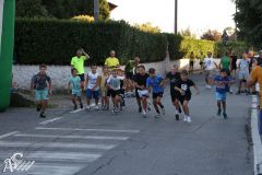 IMG_3975.jpg