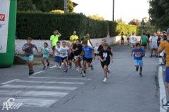 IMG_3976.jpg