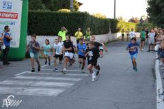 IMG_3977.jpg