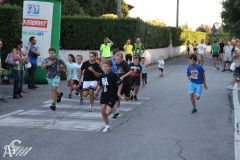 IMG_3978.jpg
