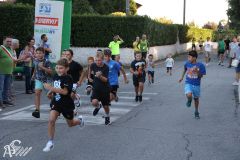 IMG_3979.jpg