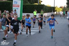 IMG_3980.jpg