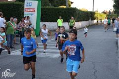 IMG_3981.jpg