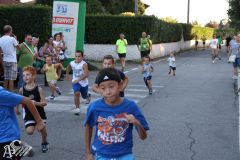 IMG_3982.jpg