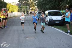 IMG_3990.jpg