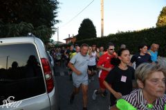 IMG_4135.jpg