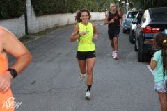 IMG_4263.jpg