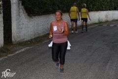 IMG_4382.jpg