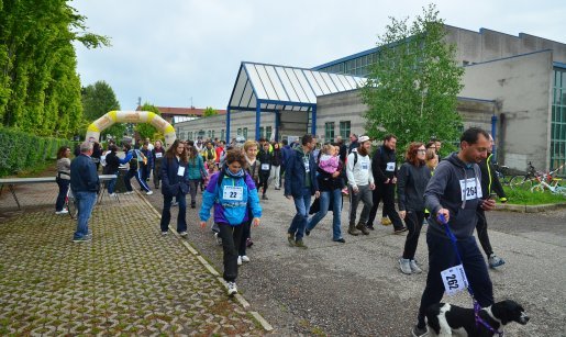 PALESTRA